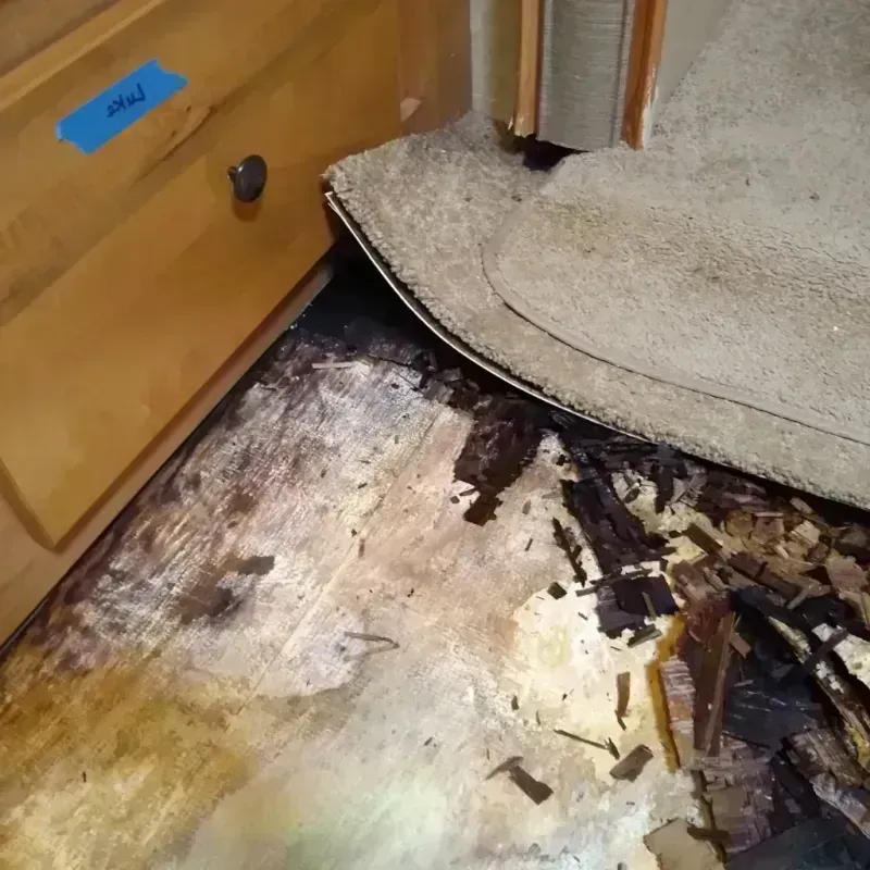 Wood Floor Water Damage in Mount Cobb, PA